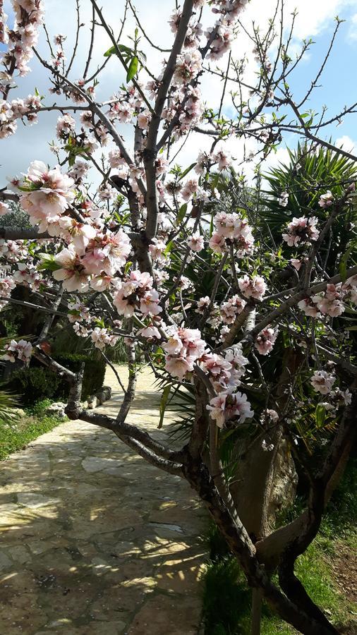 Casale Rocca Russa B&B Villaggio Mose  Bagian luar foto